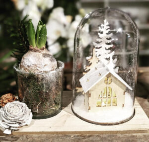 L'Ile Aux Fleurs Fleuriste Noël 2022