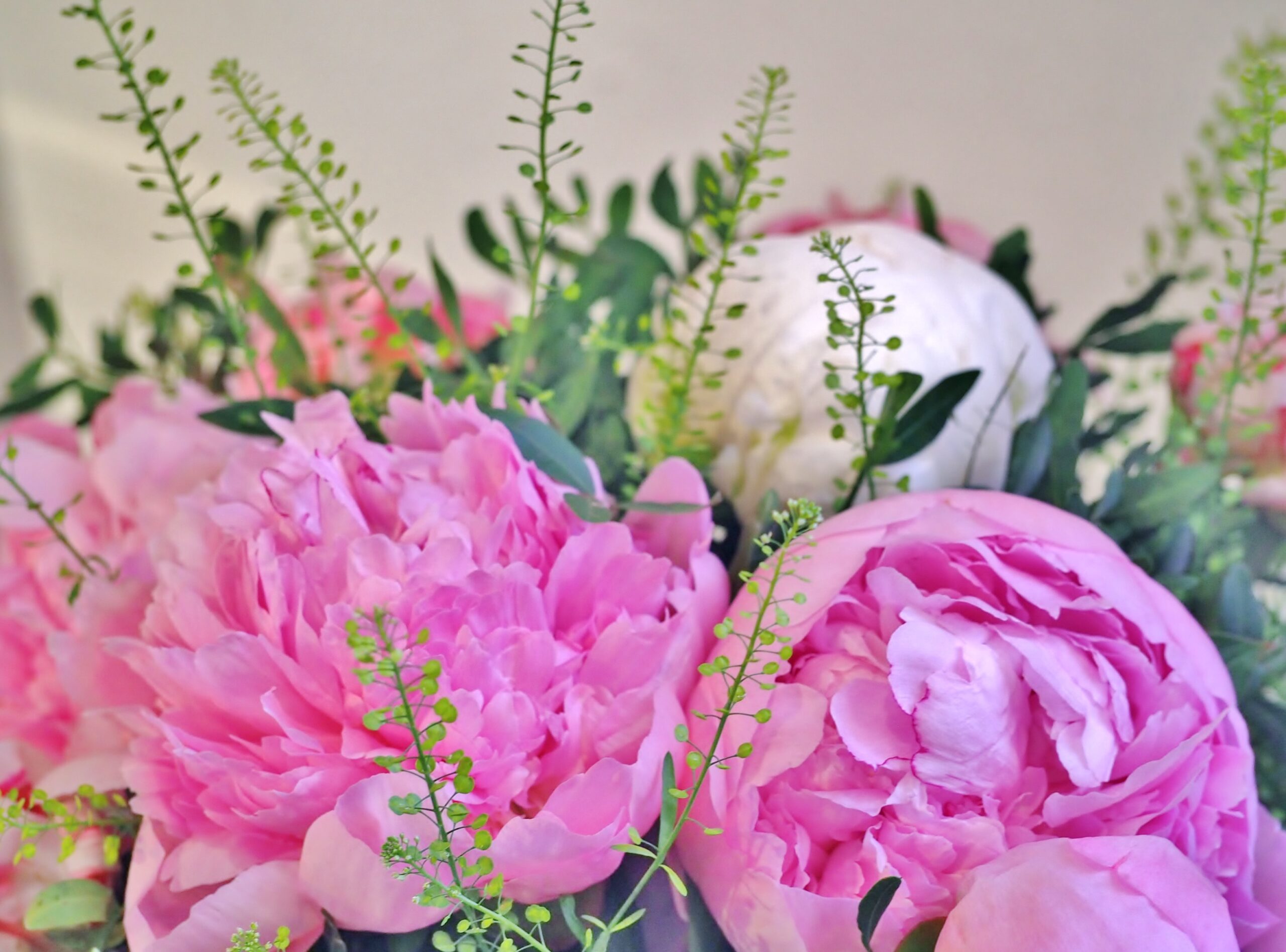 Dimanche 31 mai